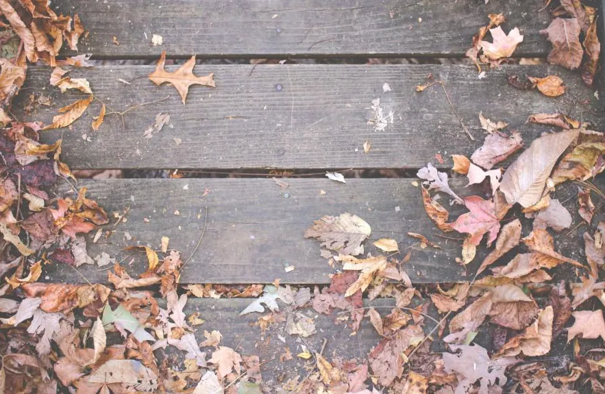 Autumn leaves scattered across wooden deck boards