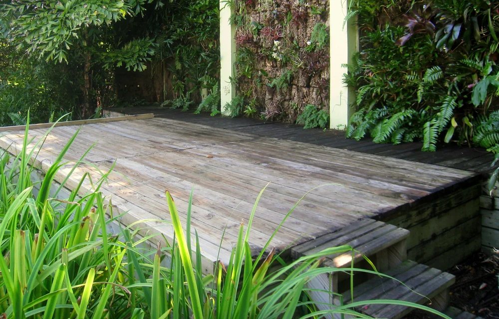 Timber deck platform beside dense planting