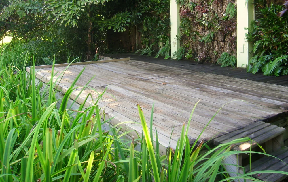 Timber deck boards running up to a planted wall